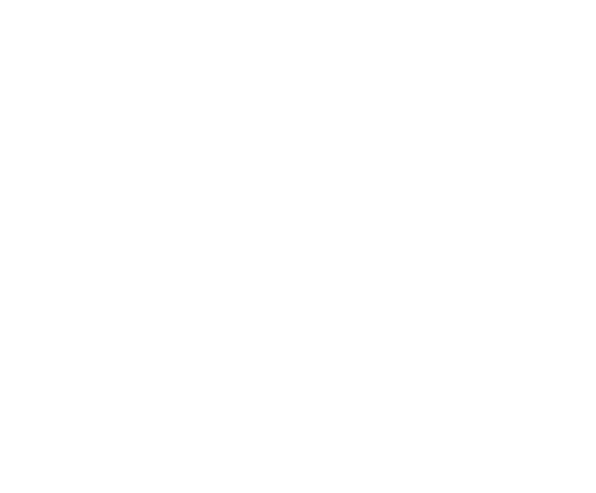 BlankSlate